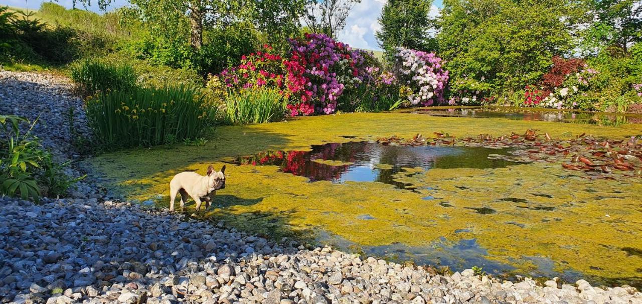 Liebhaveri I Saerklasse Årup Dış mekan fotoğraf