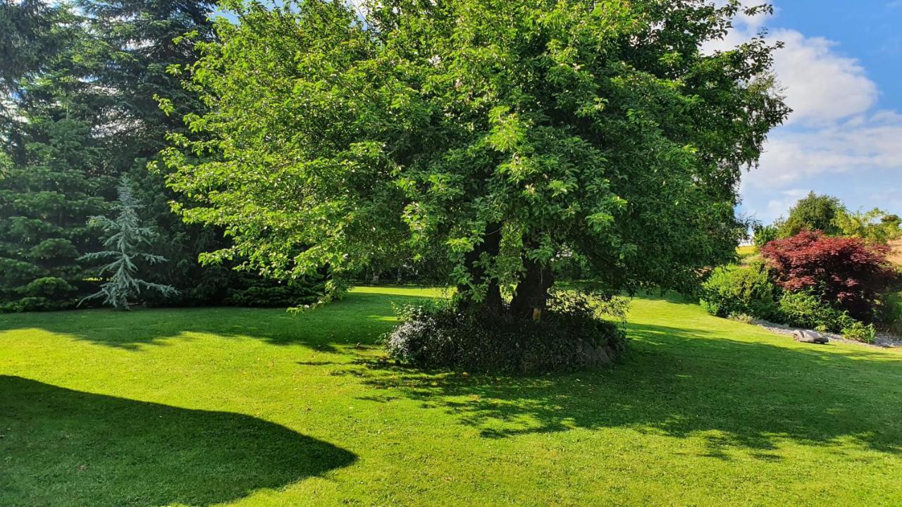 Liebhaveri I Saerklasse Årup Dış mekan fotoğraf