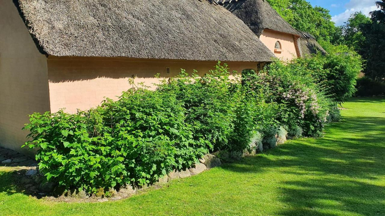 Liebhaveri I Saerklasse Konuk evi Årup Dış mekan fotoğraf