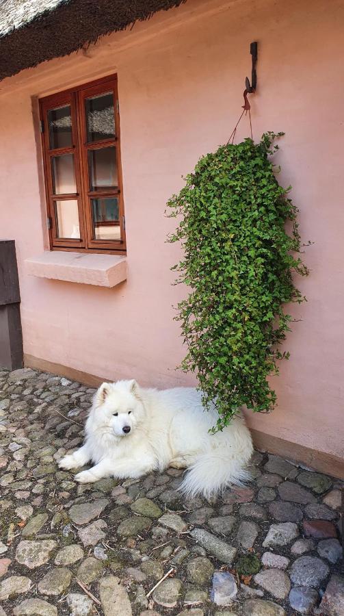 Liebhaveri I Saerklasse Konuk evi Årup Dış mekan fotoğraf